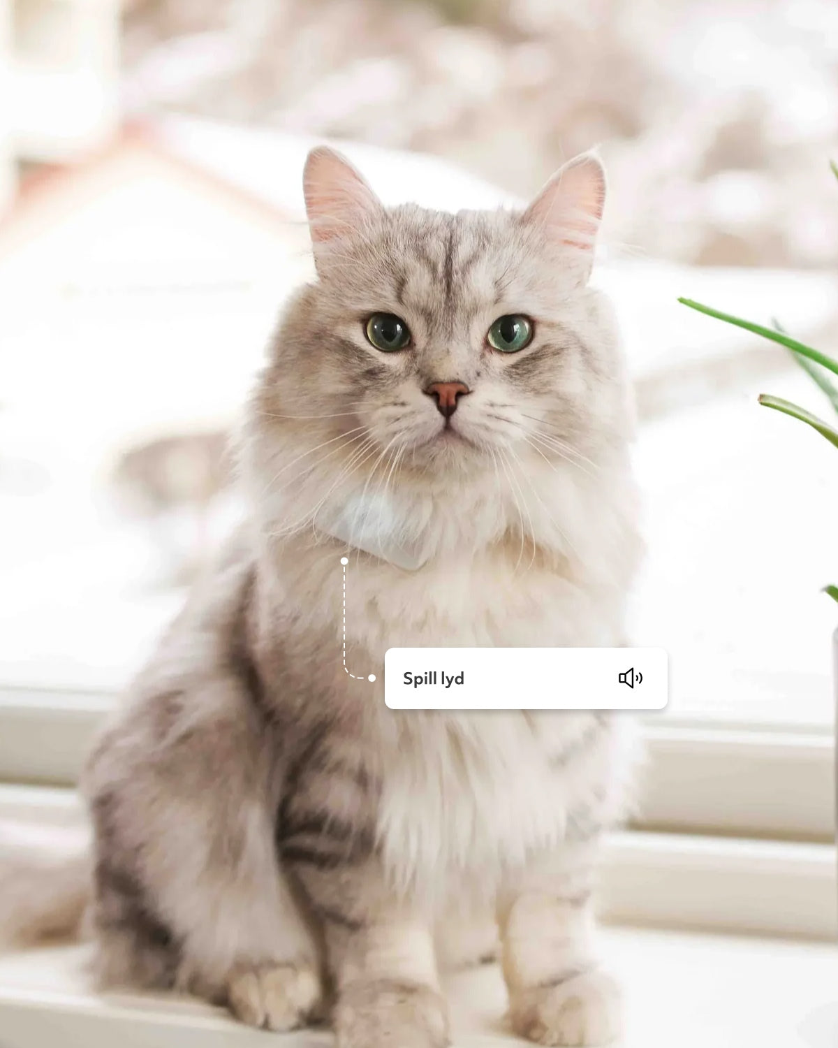 Lilcat GPS tracker