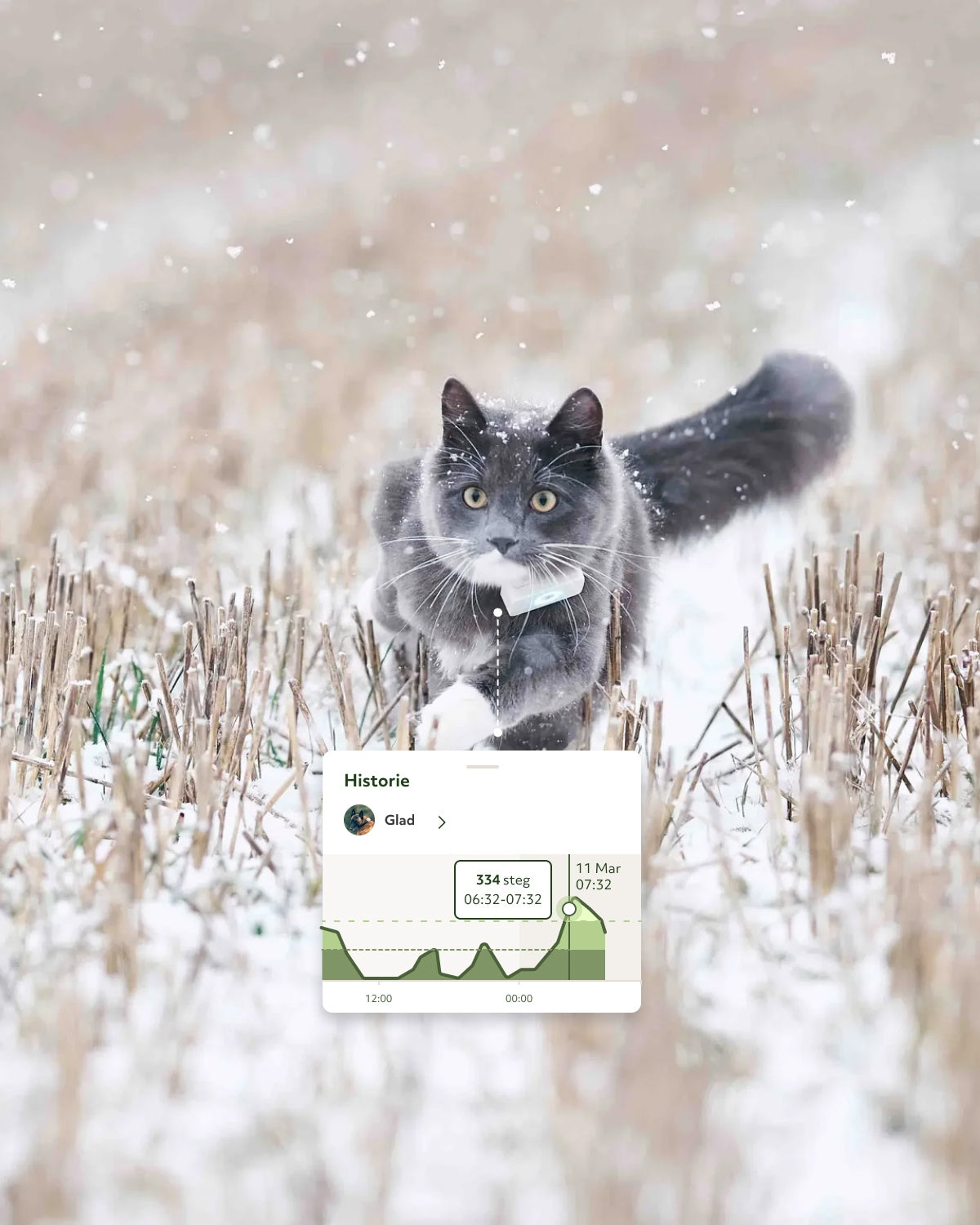 Lilcat GPS tracker