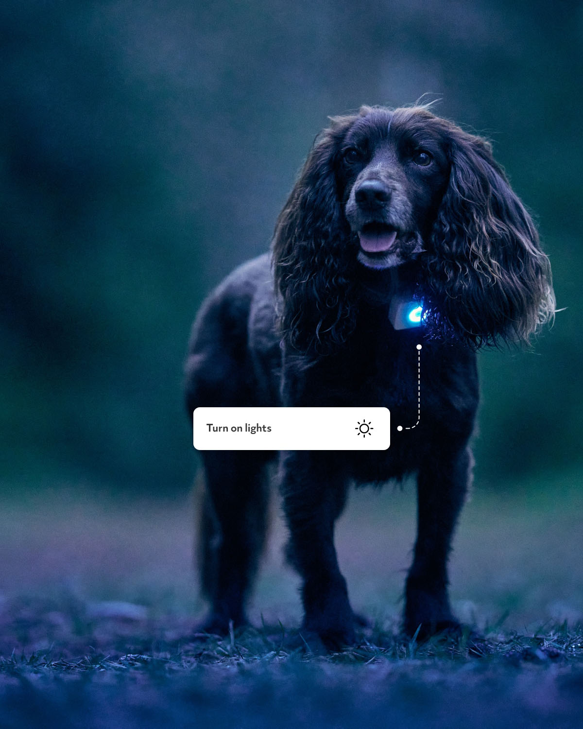 Lildog GPS-tracker