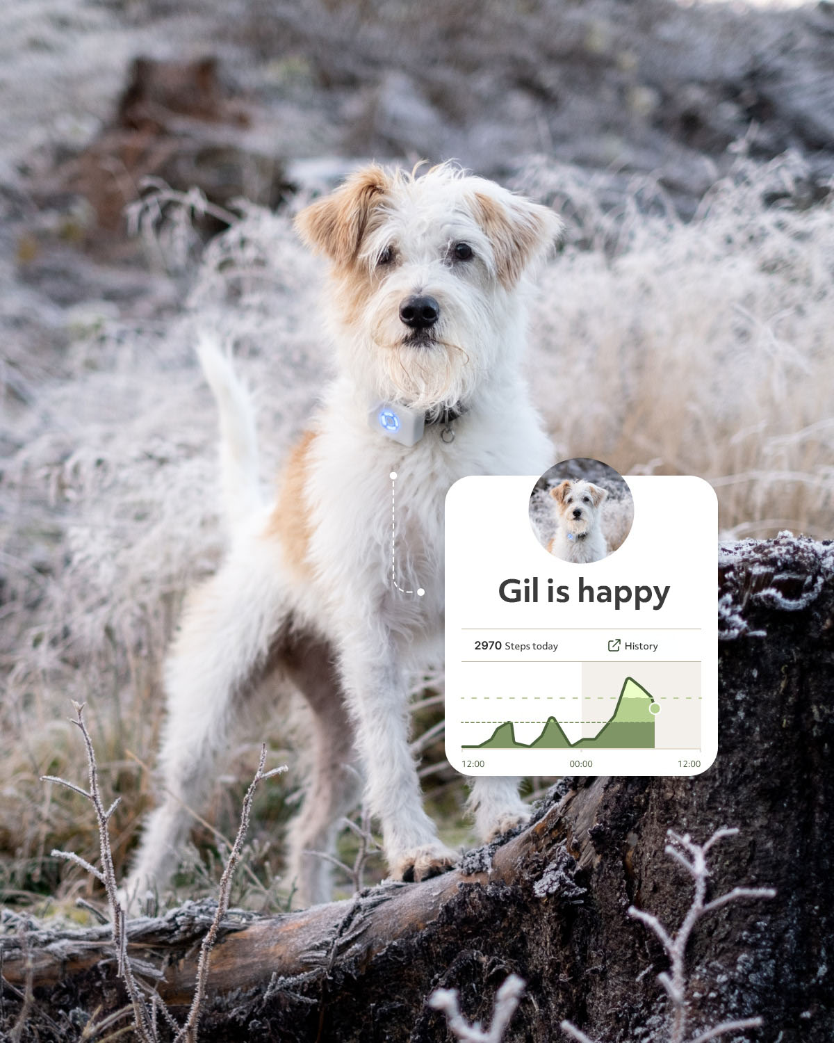 Lildog GPS-tracker