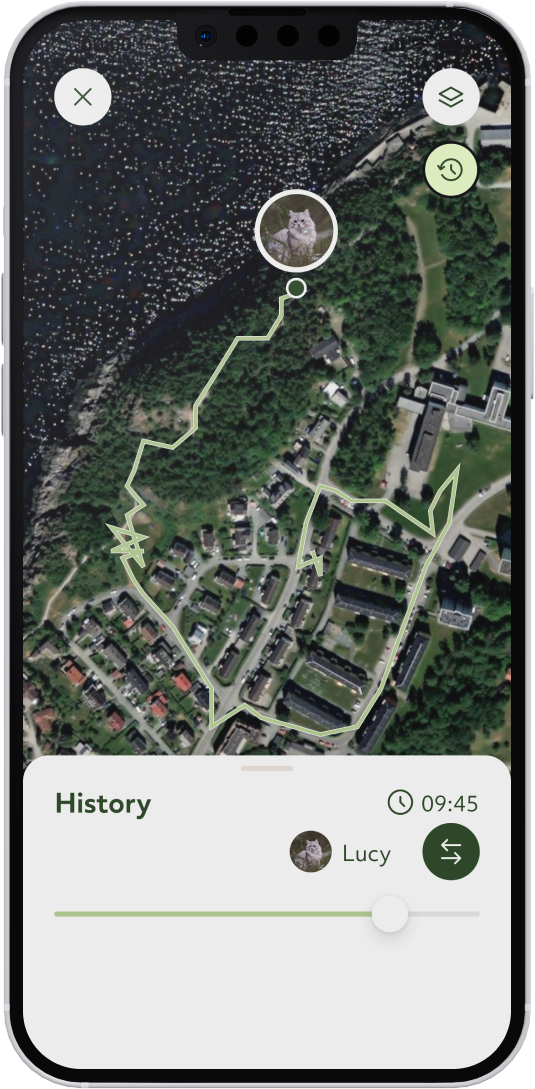 Real-time location lilcat app