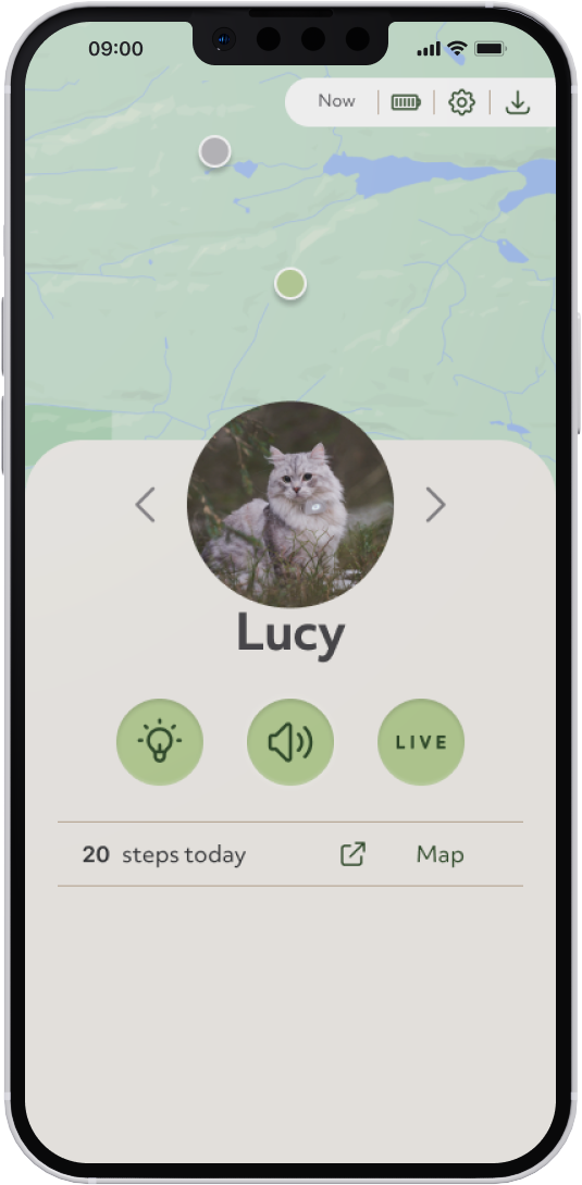 Lilcat app display