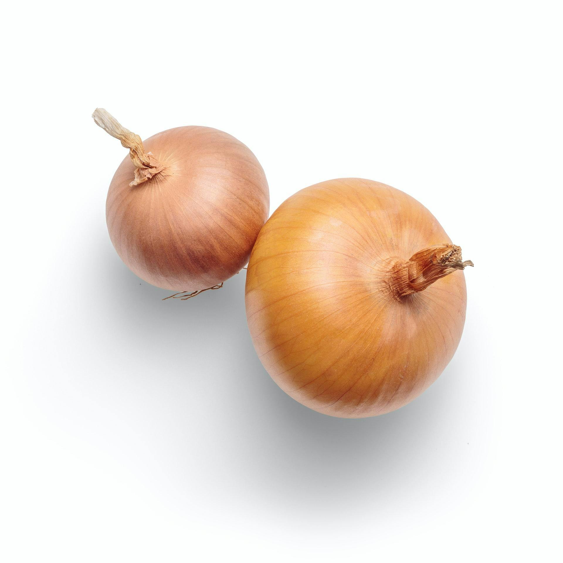 What foods can cats not eat #4 - Picture of onion, one of the many members of the Allium family. 
