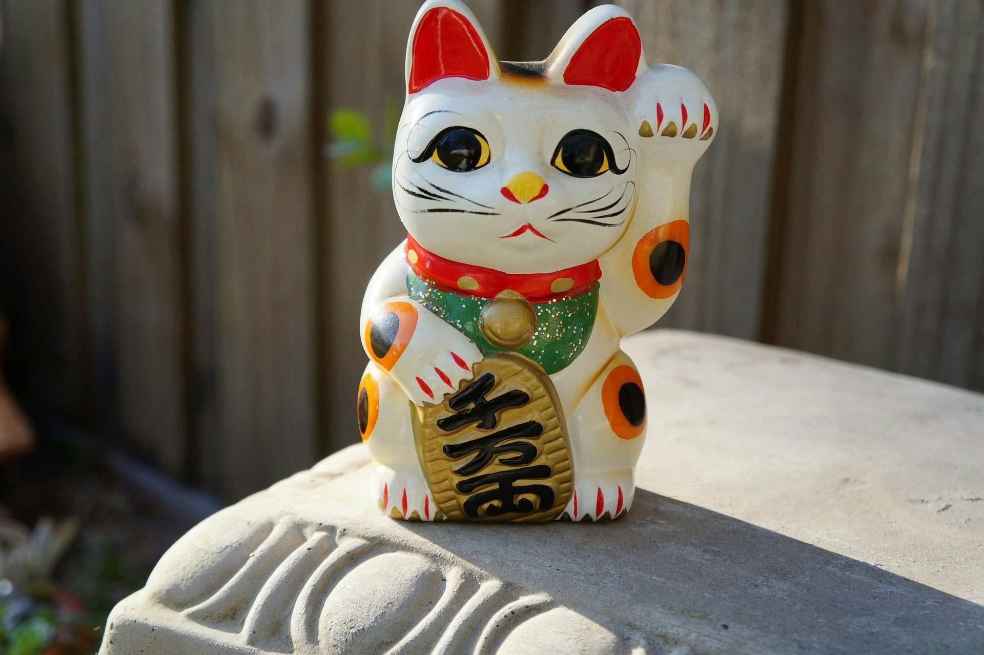 Japanese fortune cat is a calico cat 