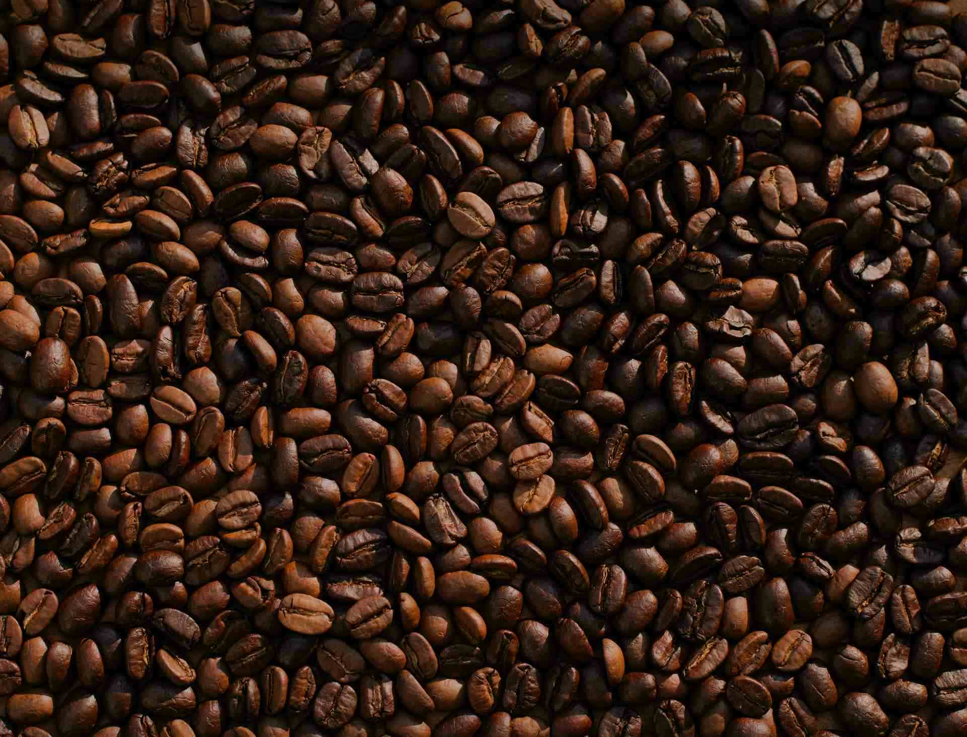 What foods can cats not eat - caffeine - picture of coffee beans.