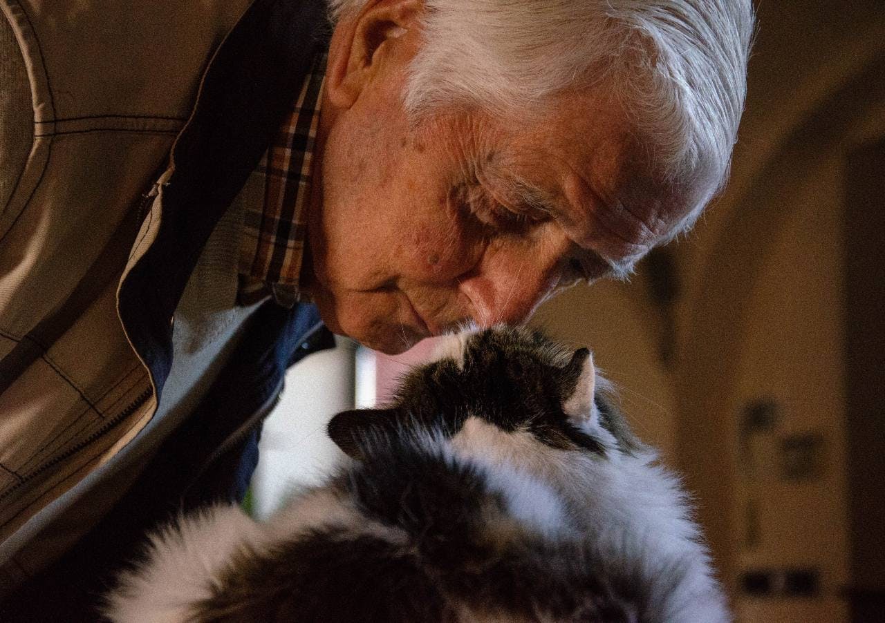 Eldre herre gir komfort til en katt - separasjonsangst katt er ingen spøk.